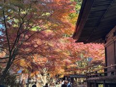 -三千院