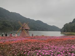 -广州市石门国家森林公园