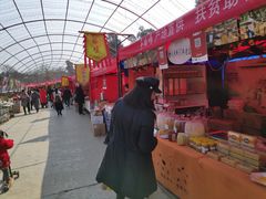 -秀丽东方