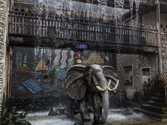 -呀路古热带植物园