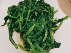 青炒豌豆尖-辣婆婆(航天桥店)