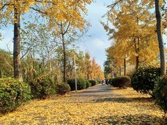 -白鹭湾湿地公园