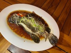 -竹林小屋(库塔店)