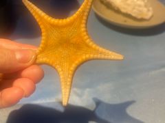 -千岛蚝高压锅生蚝·人参火锅(白云万达店)