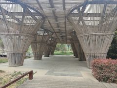 -贵阳市花溪国家城市湿地公园