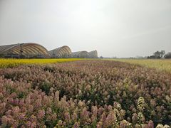 -中国天府农业博览园