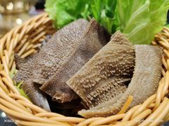 -小天鹅戴斯酒店鲸鲨百汇创作料理