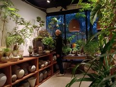 -自由生长植物工作室(深港花卉中心店)