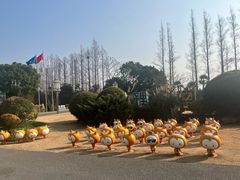 -上海长兴岛郊野公园