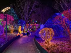 -南宫五洲植物乐园