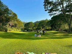 -长白岛森林公园