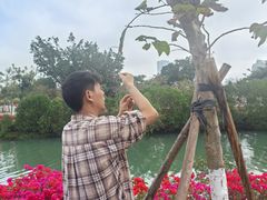 -万绿园