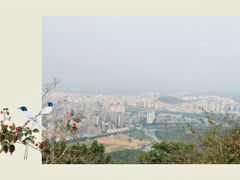 -风云岭森林公园