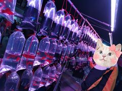 -中环花鸟鱼虫市场