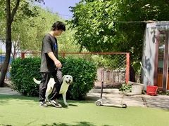 -宠物寄养训练学校