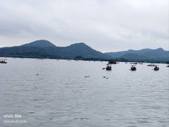 -西湖游船