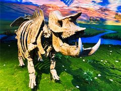 -安徽省地质博物馆