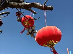 -名花谷生态庄园