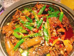 -猫头婴小酒馆FUN OWL(1912店)