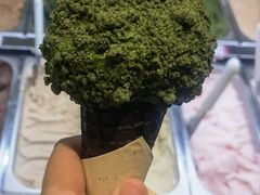 -鹤茶野所(上海首店)