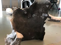 -上海当代艺术博物馆