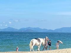 -玫瑰海岸文化旅游度假区