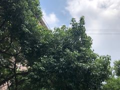 -颐尚温泉(东鼎购物中心店)