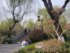-济南大明湖景区