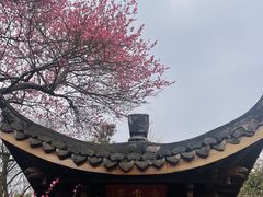-杭州植物园