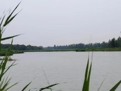 -长春市南湖公园