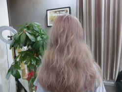 点击看大图 -YDO SALON
