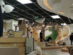 -猫和宫(六道口店)