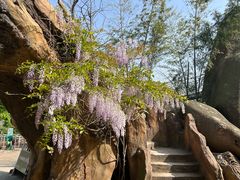 -巨石山景区