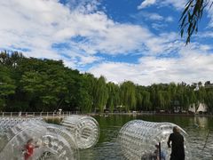 -莲湖公园