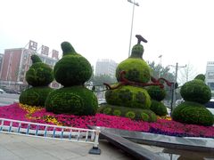 -万向城(裕华路店)