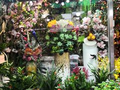 -溪岸路花鸟市场
