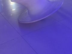 -石家庄海洋公园
