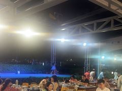 -渔家火锅·海鲜自助餐·演艺(亚龙湾天域酒店)
