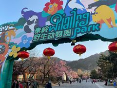 -西安秦岭野生动物园