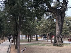 -中岳庙