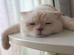 -AEON超市(永旺梦乐城泰达店)