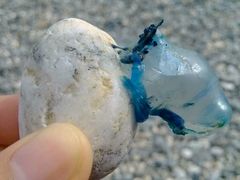 -七星潭蓝天广场