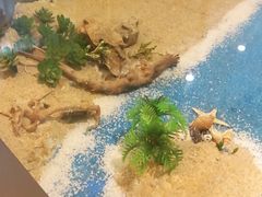 -九九私厨(石溪店)