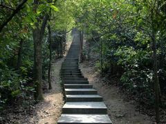 -云碧峰国家森林公园
