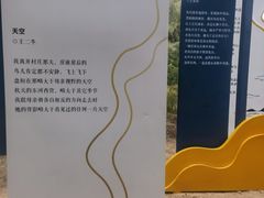 -大京沙滩