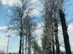 -碓臼峪自然风景区