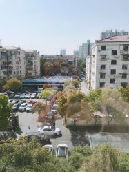 -复旦大学附属妇产科医院(杨浦院区)