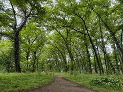 -西溪南古村落