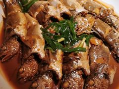 -日丰园海肠水饺·老字号大连海鲜(和平广场店)