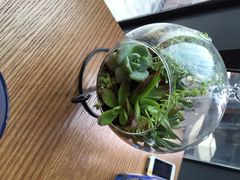 iphone_upload_pic-菩提树·素食餐厅(汇智国际商业中心店)